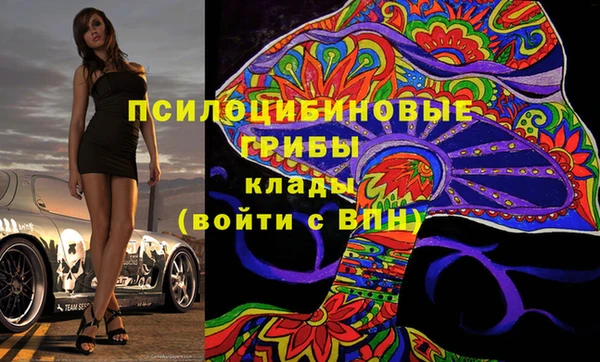дживик Баксан